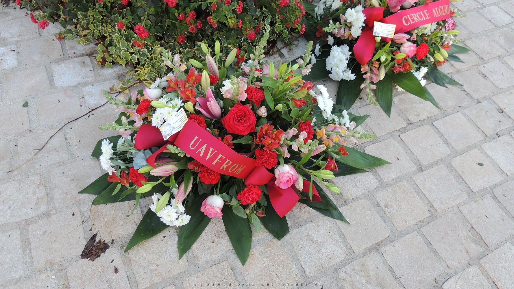2022 12 05 HOMMAGE AUX MORTS POUR LA FRANCE EN AFN (8).jpg